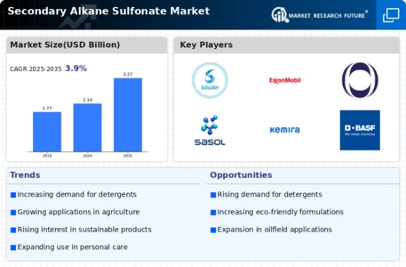 Secondary Alkane Sulfonate Market Infographic