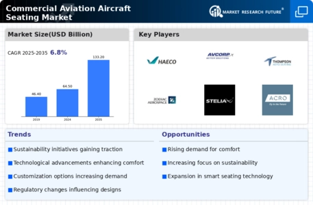 Commercial Aviation Aircraft Seating Market Infographic