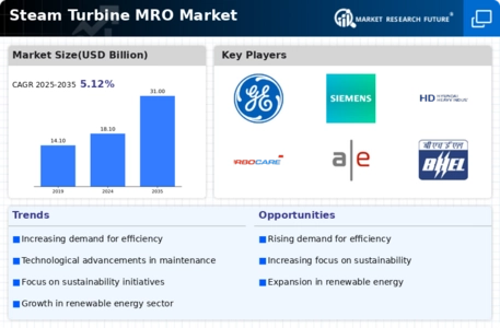Steam Turbine MRO Market Infographic