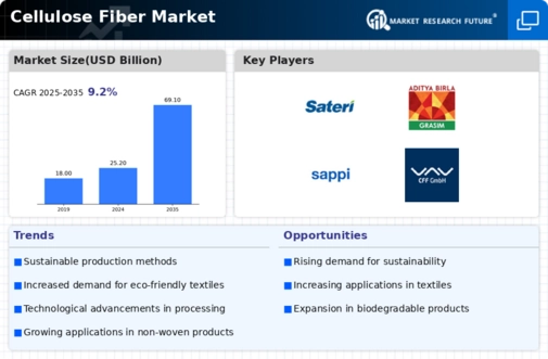 Cellulose Fiber Market Infographic