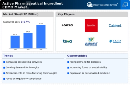 Active Pharmaceutical Ingredient Cdmo Market Infographic