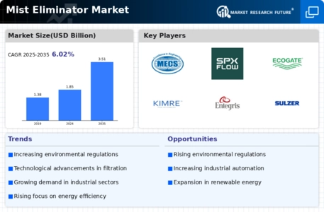 Mist Eliminator Market Infographic