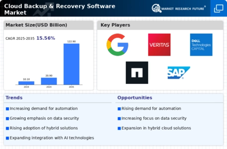 Cloud Backup and Recovery Software Market
 Infographic