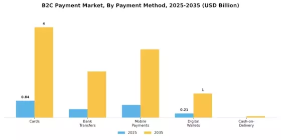 B2C Payment Market  Segment Image 0