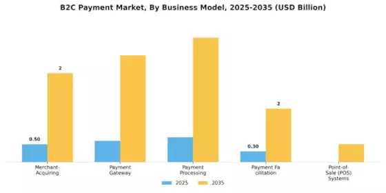 B2C Payment Market  Segment Image 1