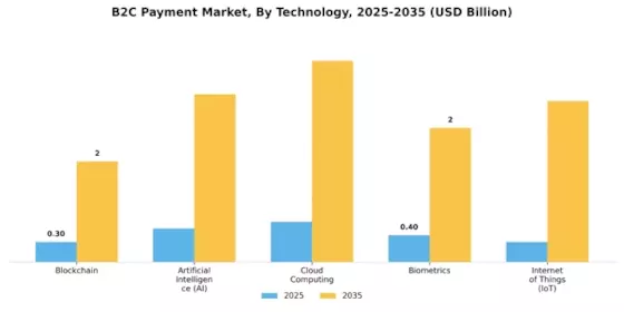 B2C Payment Market  Segment Image 3