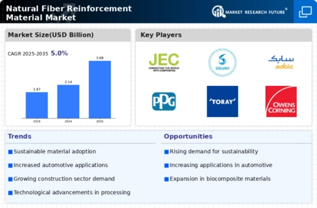 Natural Fiber Reinforcement Material Market Infographic