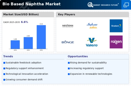 Bio Based Naphtha Market Infographic