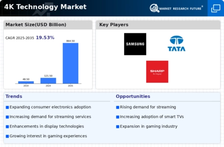 4K Technology Market Infographic