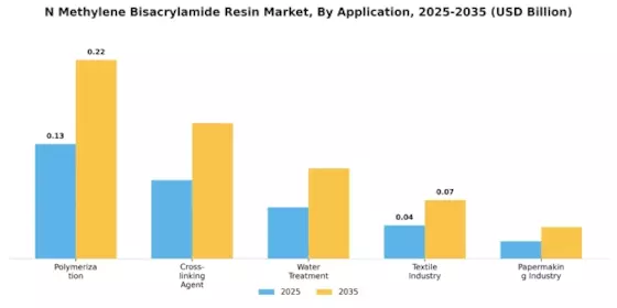 N N Methylene Bisacrylamide Resin Market
 Segment Image 0