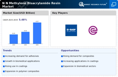 N N Methylene Bisacrylamide Resin Market
 Infographic