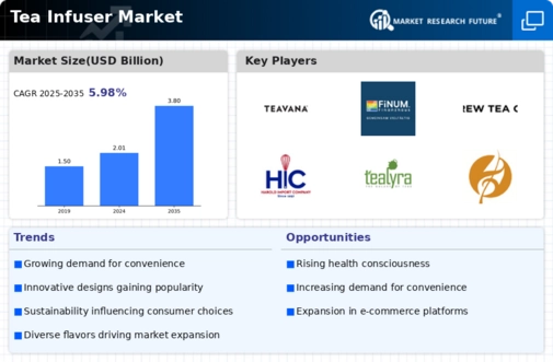 Tea Infuser Market Infographic
