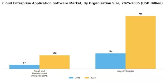 Cloud Enterprise Application Software Market Segment Image 3