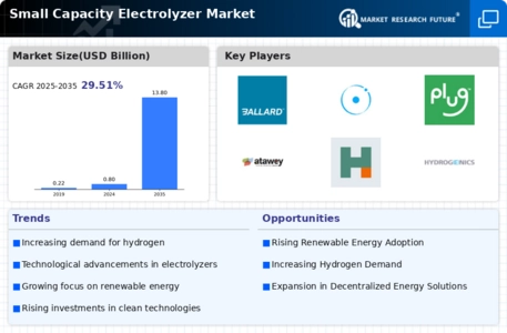 Small Capacity Electrolyzer Market Infographic