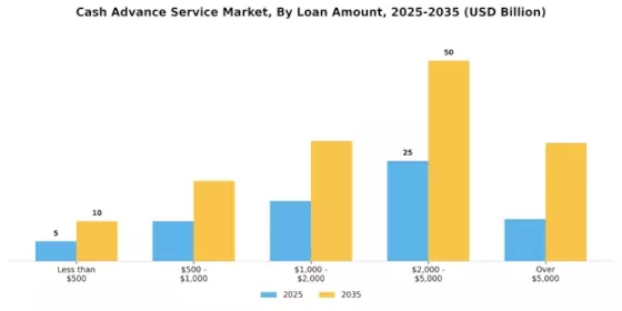 Cash Advance Service Market Segment Image 0