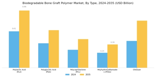 Biodegradable Bone Graft Polymer Market Segment Image 0