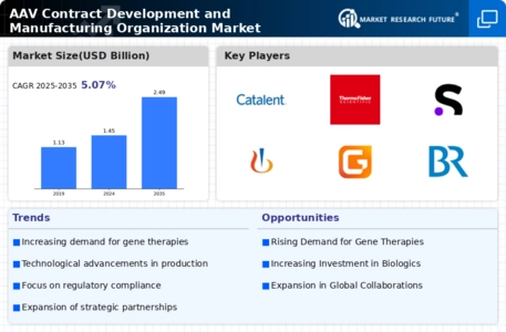 AAV Contract Development Manufacturing Organization Market Infographic