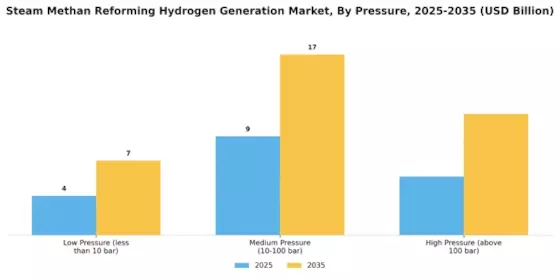 Steam Methan Reforming Hydrogen Generation Market Segment Image 4