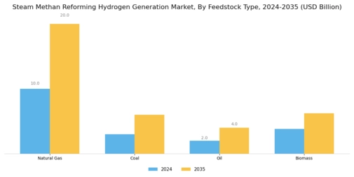 Steam Methan Reforming Hydrogen Generation Market Segment Image 0