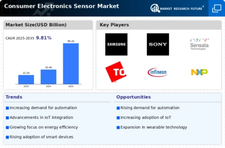 Consumer Electronics Sensor Market
 Infographic