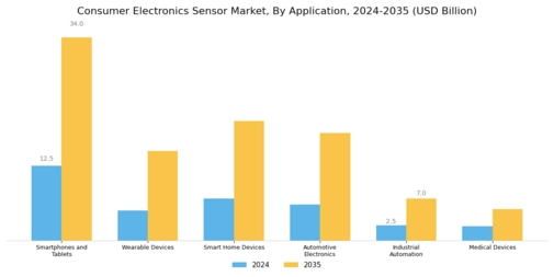 Consumer Electronics Sensor Market
 Segment Image 1