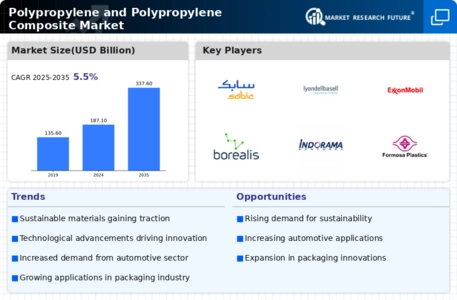Polypropylene and Polypropylene Composite Market  Infographic