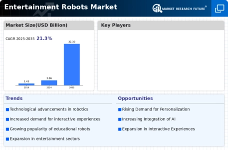 Entertainment Robots Market Infographic