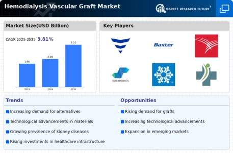 Hemodialysis Vascular Graft Market Infographic