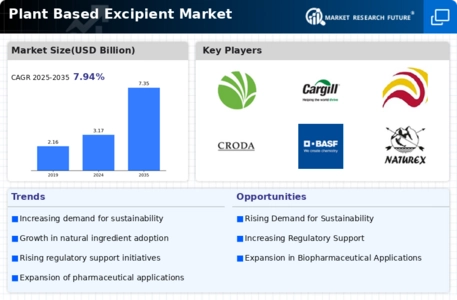 Plant Based Excipient Market Infographic