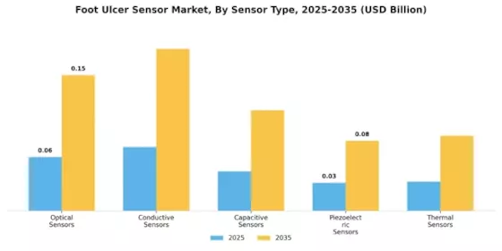 Foot Ulcer Sensor Market Segment Image 0