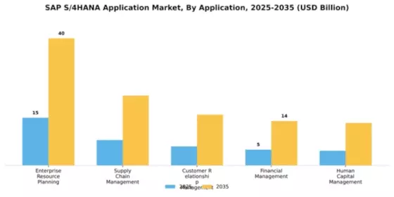Sap S 4Hana Application Market Segment Image 0