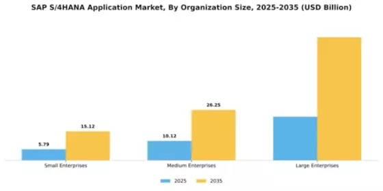 Sap S 4Hana Application Market Segment Image 4