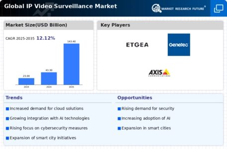 IP Video Surveillance Market Infographic