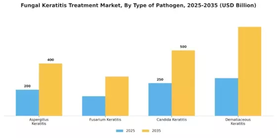 Fungal Keratitis Treatment Market Segment Image 0