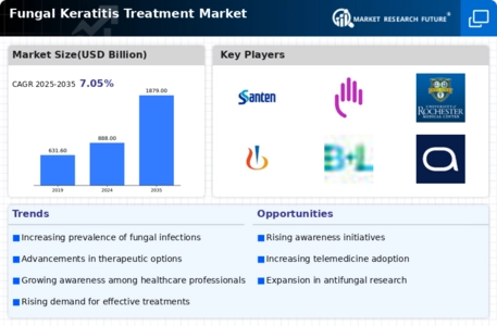 Fungal Keratitis Treatment Market Infographic