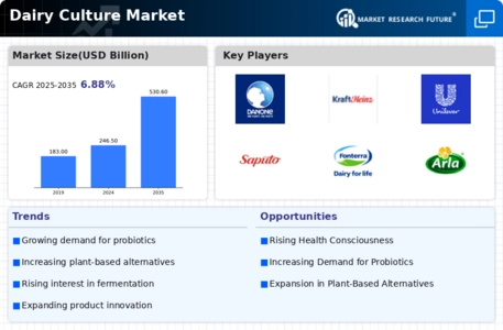 Dairy Culture Market  Infographic