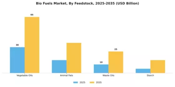 Biofuels Market Segment Image 2