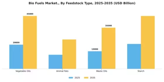 Bio Fuels Market Segment Image 3