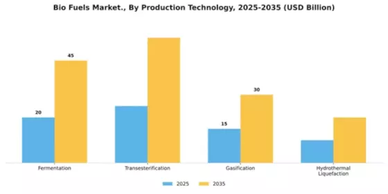 Bio Fuels Market Segment Image 4