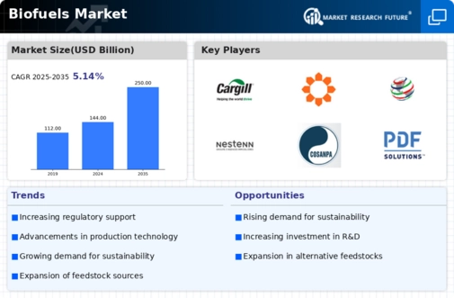 Bio Fuels Market Infographic