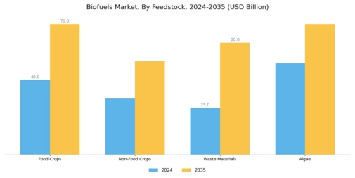Bio Fuels Market Segment Image 1