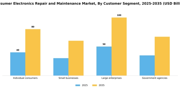 Consumer Electronics Repair and Maintenance Market Segment Image 0
