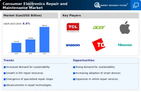 Consumer Electronics Repair and Maintenance Market Infographic