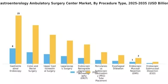 Gastroenterology Ambulatory Surgery Center Market Segment Image 0