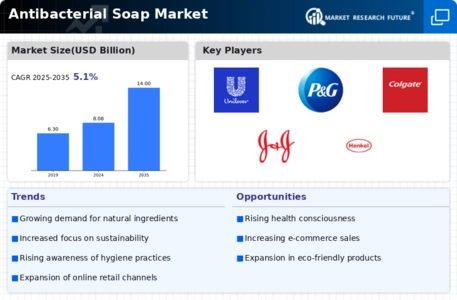 Antibacterial Soap Market Infographic