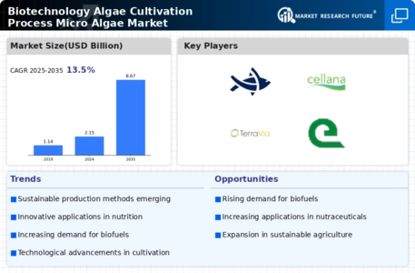 Biotechnology Algae Cultivation Process Micro Algae Market Infographic