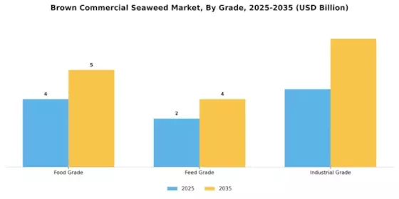 Brown Commercial Seaweed Market Segment Image 0