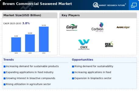 Brown Commercial Seaweed Market Infographic