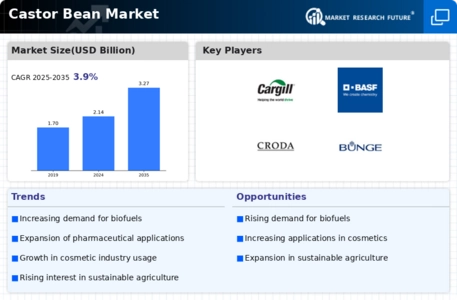 Castor Bean Market Infographic