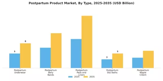 Postpartum Product Market Segment Image 0